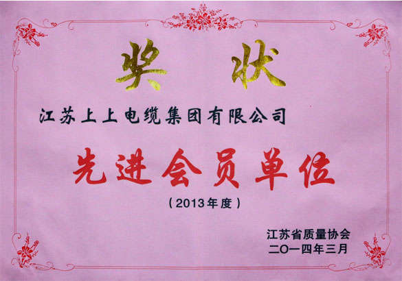 鸿运国际集团荣获江苏省质量协会2013年度“先进会员单位”称呼