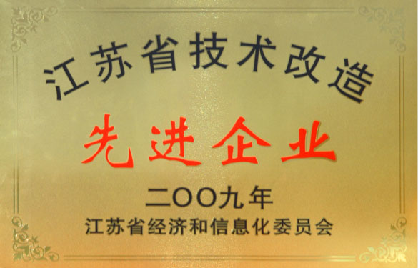 鸿运国际获“2009年江苏省手艺刷新先进企业”称呼